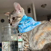 Load image into Gallery viewer, Blue Wave Pet Bandana