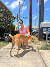 Load image into Gallery viewer, All-Purpose Towel Blue and Green Hibiscus