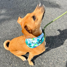 Load image into Gallery viewer, Blue and Green Hibiscus Pet Bandana