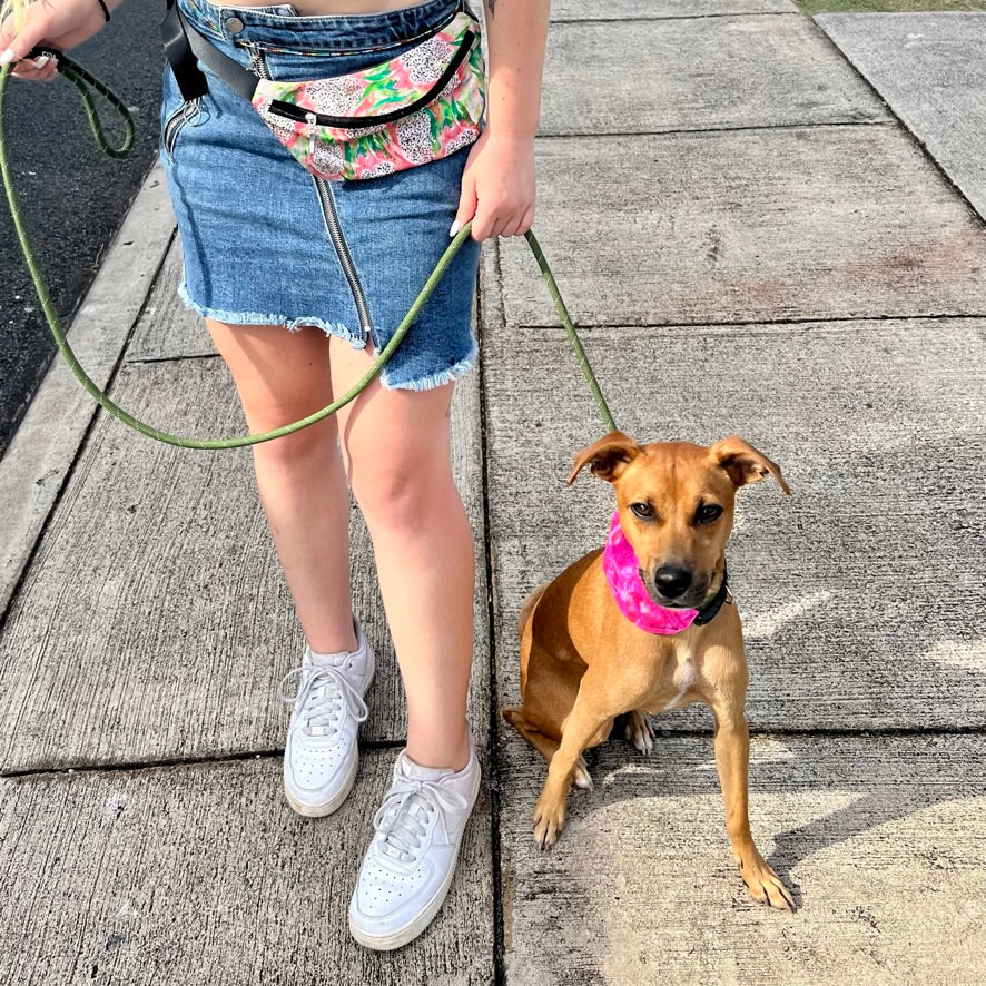 Pink Hibiscus Pet Bandana