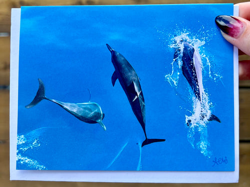 Jumping Dolphins Greeting Card