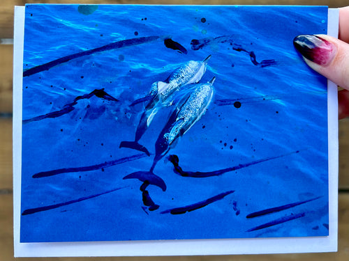 Dolphin Greeting Card