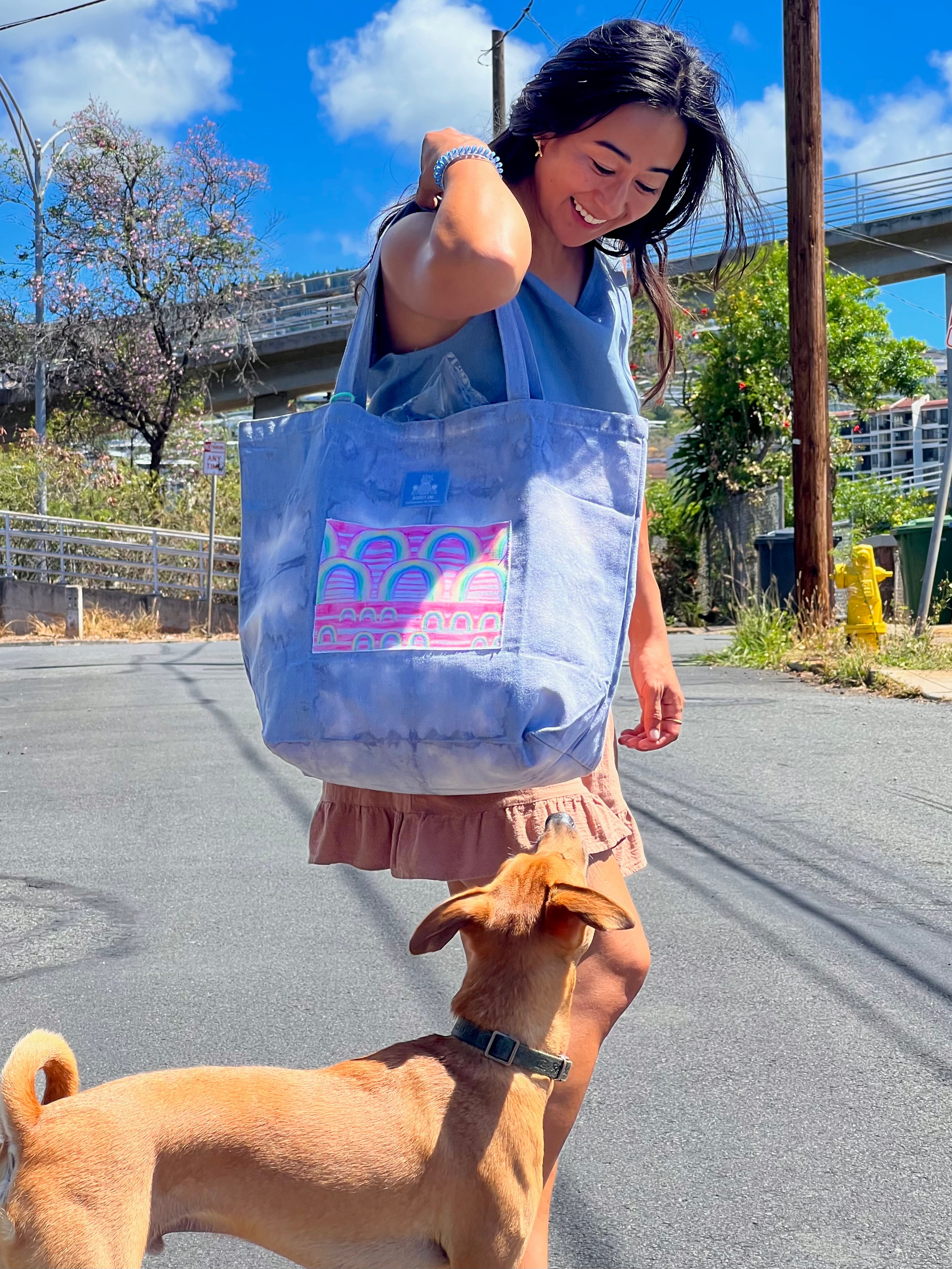 Hand Dyed, "Rainbow Business" XL Tote Bag
