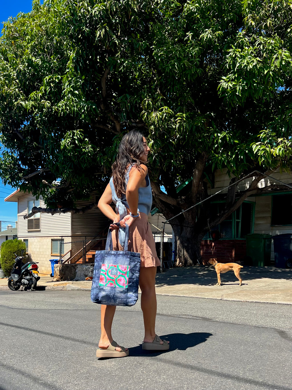 Hand Dyed, "Watermelon Monstera" Medium Tote Book Bag