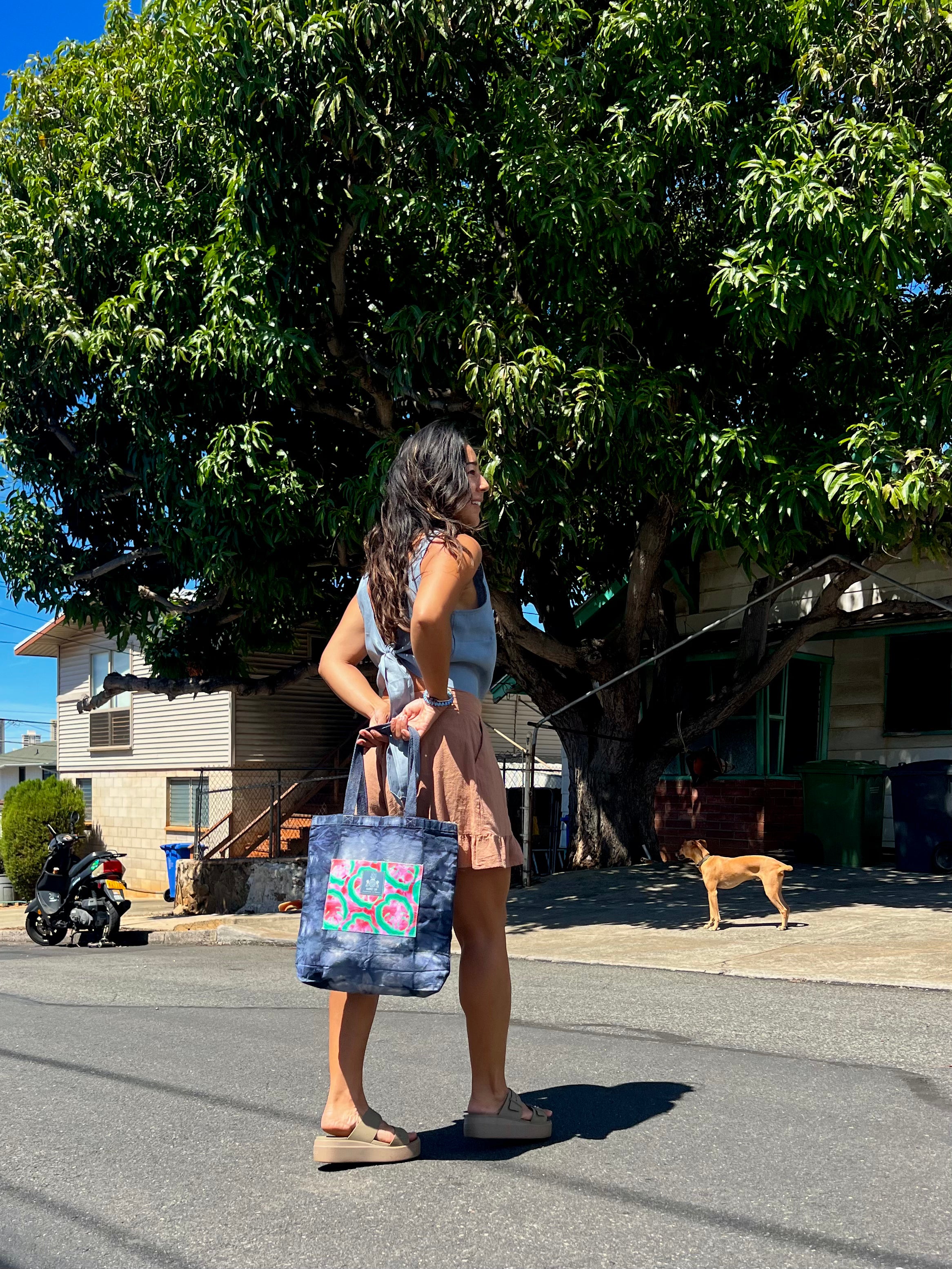 Hand Dyed, "Watermelon Monstera" Medium Tote Book Bag