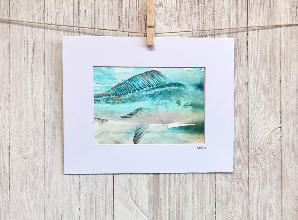 Ocean Mahi Wall Art