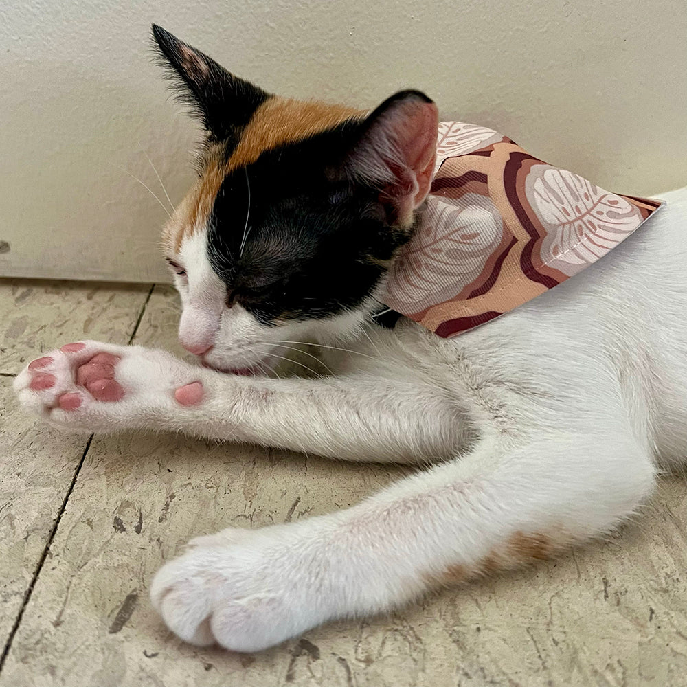 Sandy Monstera Pet Bandana