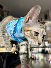 Load image into Gallery viewer, Blue Wave Pet Bandana