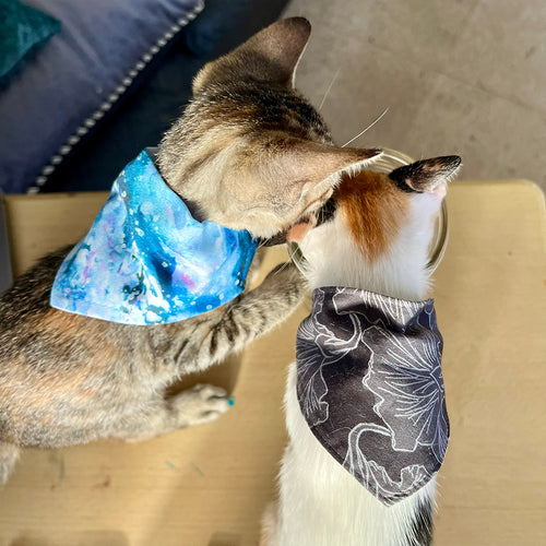 Black Hibiscus Pet Bandana