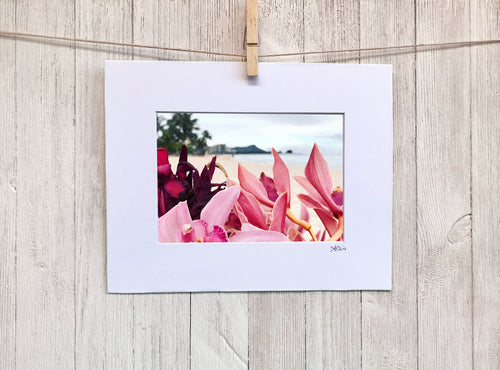 Diamond Head Orchids Wall Art