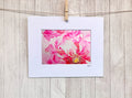Pretty in Pink Wall Art
