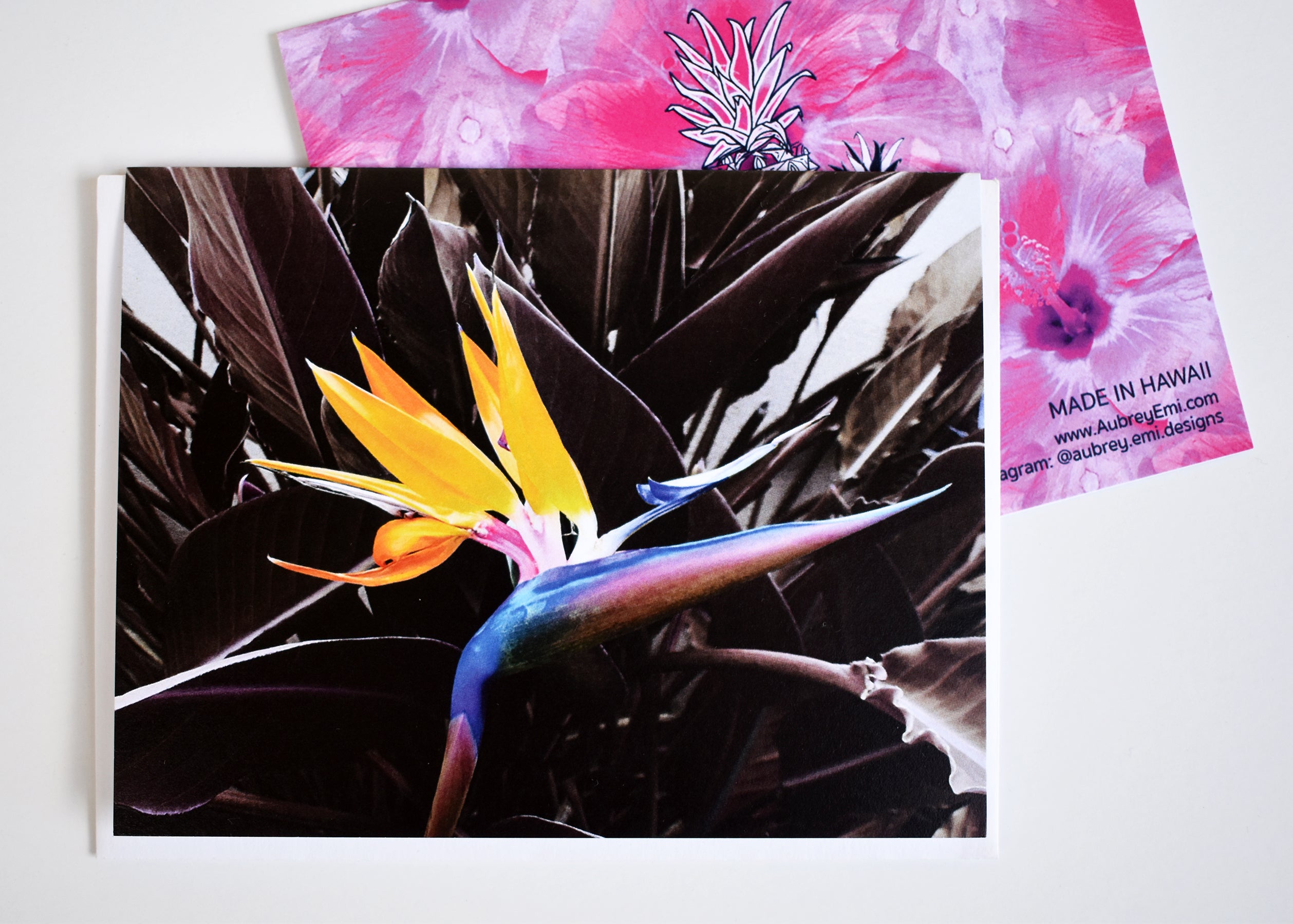 Purple Bird of Paradise Greeting Card