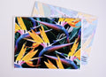 Bird of Paradise Greeting Card