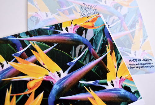 Bird of Paradise Greeting Card