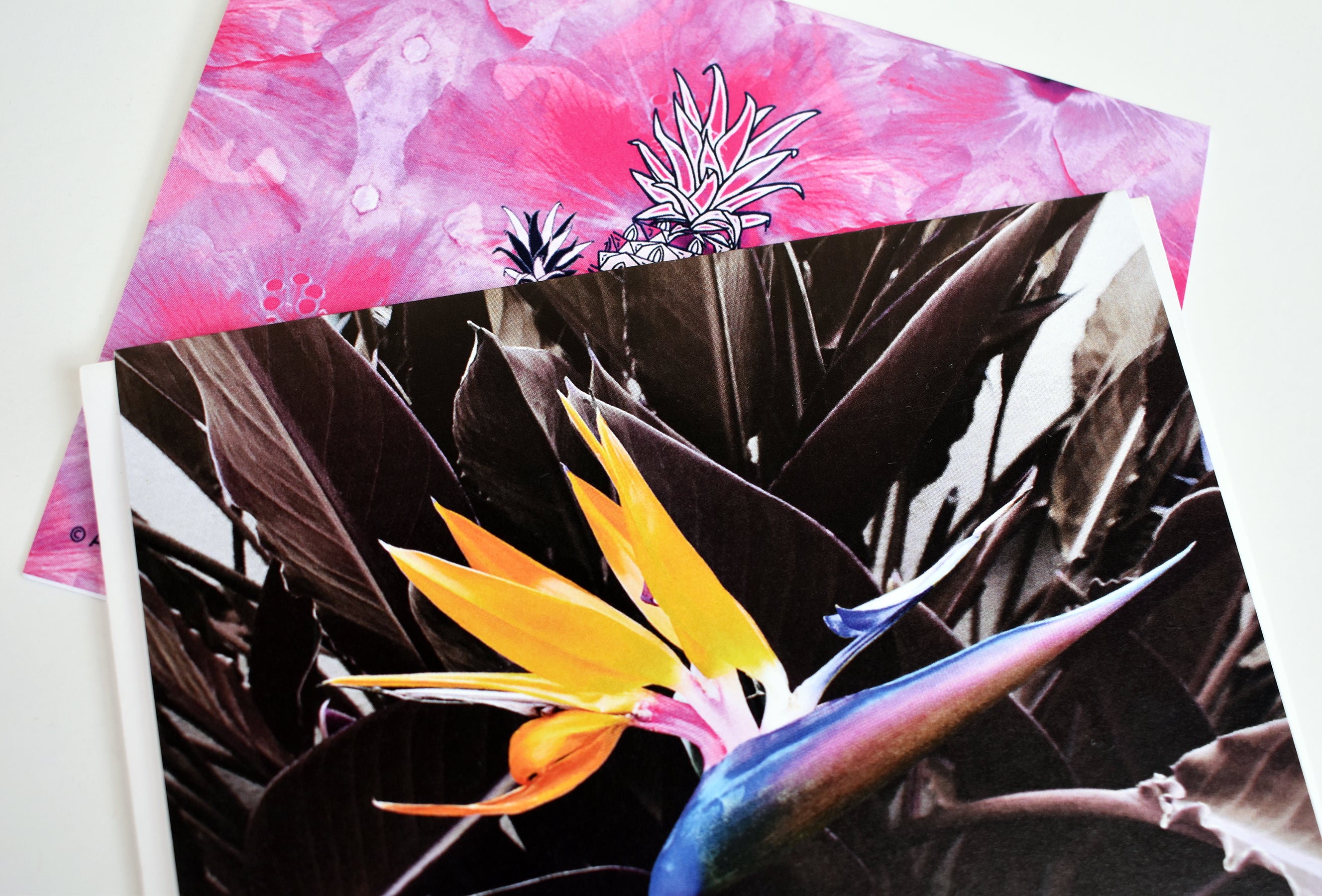 Purple Bird of Paradise Greeting Card