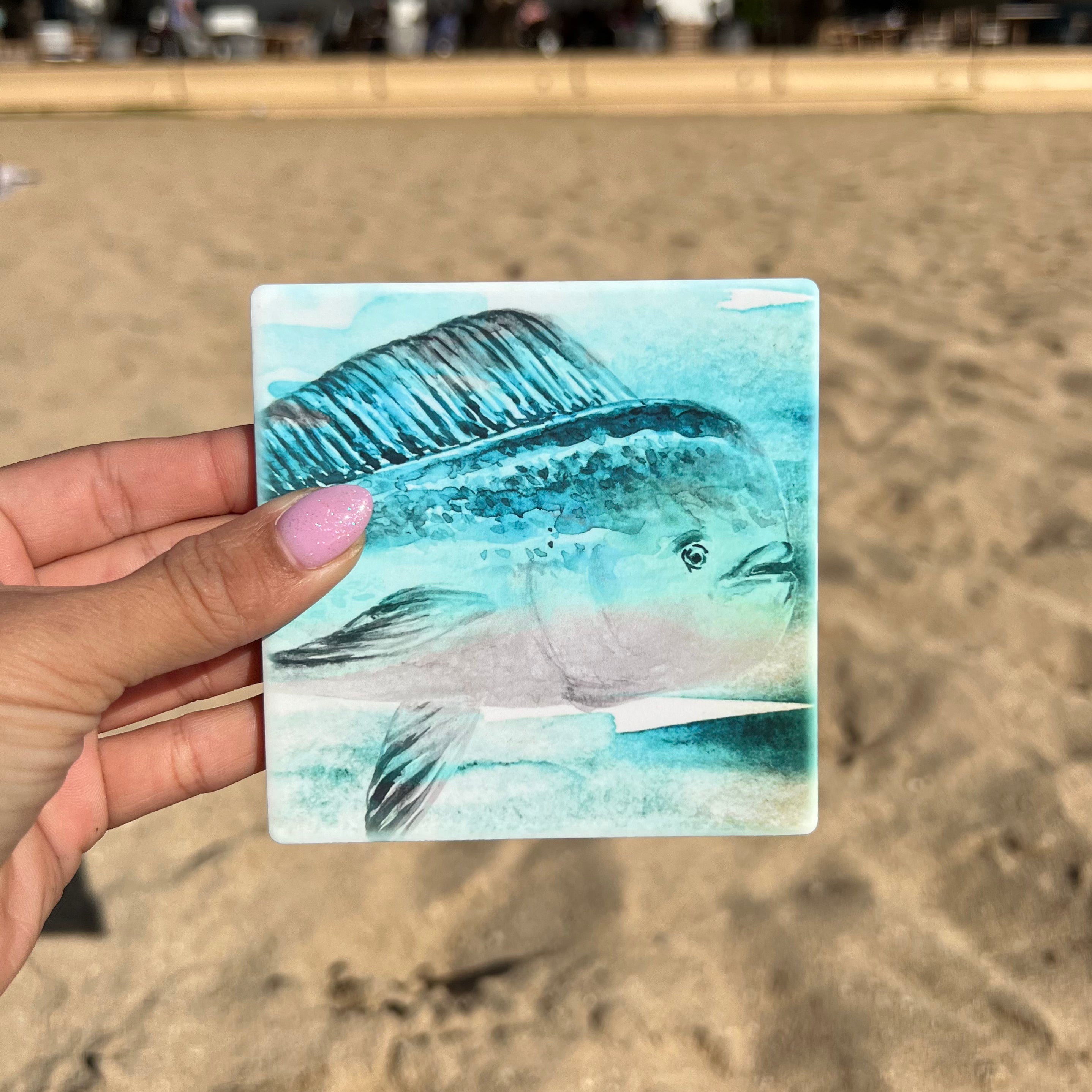 Mahi Coaster